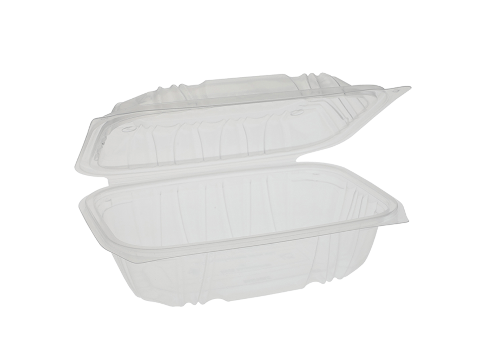 HINGED PP CONTAINER 9 X 6 (1)